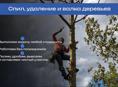 🌳 УСЛУГИ ПО СПИЛУ ДЕРЕВЬЕВ | ОПЫТНЫЙ СПЕЦИАЛИСТ 🌳