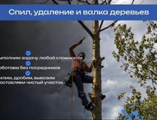 🌳 УСЛУГИ ПО СПИЛУ ДЕРЕВЬЕВ | ОПЫТНЫЙ СПЕЦИАЛИСТ 🌳