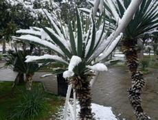 Продам цемент