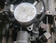 Хонда ильзён 3.0 герем порвался 