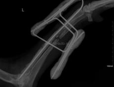 Сдаю Кафе-Бар на турбазе В санатории РВСН 