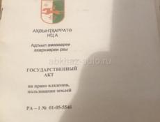 Алахадзе