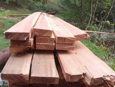 Лес для строительства 