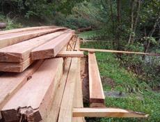 Лес для строительства 