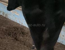Продам