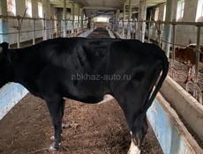 Продам