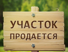 На берегу моря 