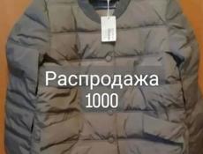 Женская одежда 