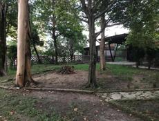 Участок 9 сотых , у моря.