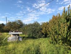 УЧАСТОК 25 СОТОК СУХУМ МАЯК