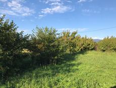УЧАСТОК 25 СОТОК СУХУМ МАЯК