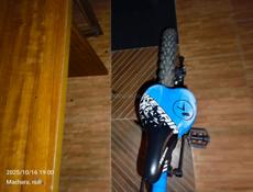 В хорошем состоянии только надо поменять тормоза и смазать цепь