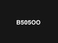 В505ОО 
