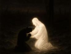 Сборка мебели 