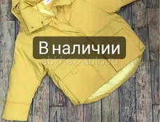 Женская одежда 