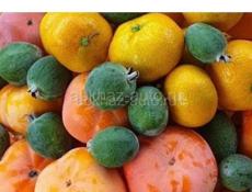 Продажа хурмы