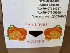 Коробки под мандарин Четырехрядка 