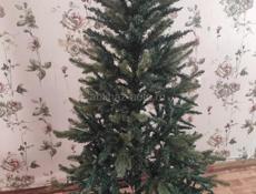 Ель