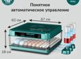 инкубатор автоматический 