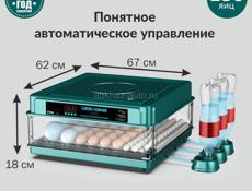 инкубатор автоматический 