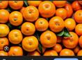 Куплю мандарины 