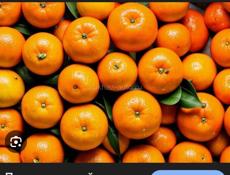 Куплю мандарины 
