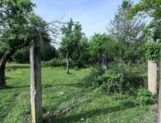 Чанба 50 соток 