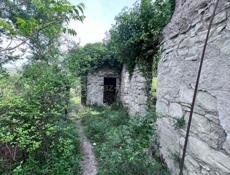 Чанба 50 соток 