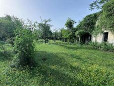 Чанба 50 соток 