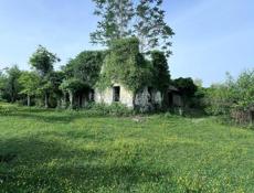 Чанба 50 соток 