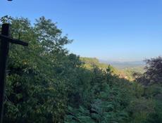 15 соток ,Патейпа-Чанба цена снижена