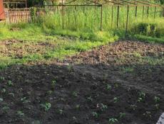 Продается дом в г. Очамчира