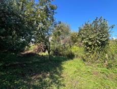 Продам участок цитрусовый савхоз 