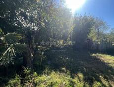 Продам участок цитрусовый савхоз 