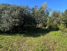 Продам участок цитрусовый савхоз 