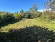 Продам участок цитрусовый савхоз 