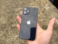 iPhone 12 mini