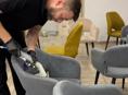 🧼 Химчистка мебели «Чистое Дело» (диваны, матрас, кресла, стулья и многое другое)