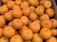 Куплю мандарины 