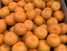 Куплю мандарины 