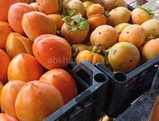 Куплю хурму ( бычье сердце) Кг 25 р  Центральный рынок Звонить или писать на вотсапп 7752026