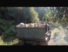 Дрова 🪵 Ахьаца граб 25-30 тыс связь 9961888