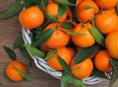 Иду на сбор мандарин 🍊