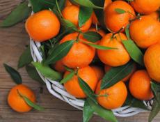 Иду на сбор мандарин 🍊