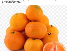 🍊