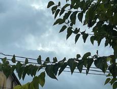 Продаются дом 2 этажный большой участок фото скину потом 