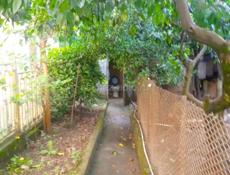 Продам дом в Абхазии