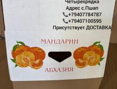 Коробки Евро тара 100р шт.4-х рядки