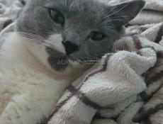 На круглый год