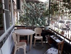 Срочно! Агудзера!!!